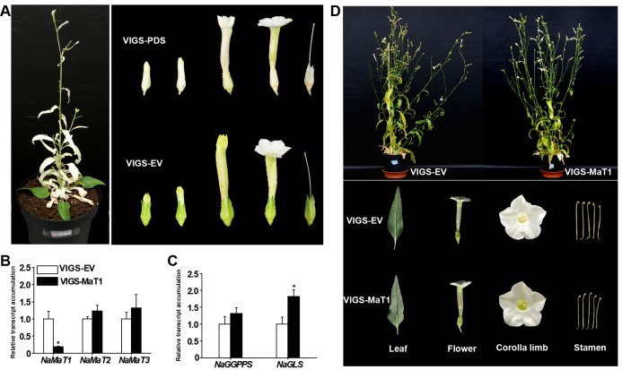 Figure 3—figure supplement 1.