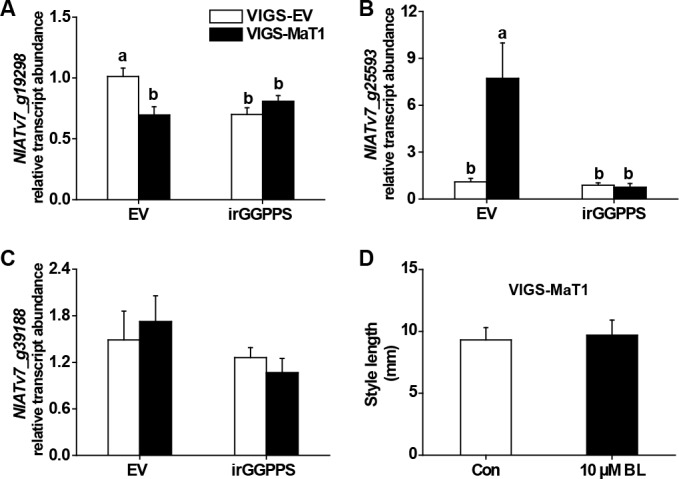 Figure 5—figure supplement 2.