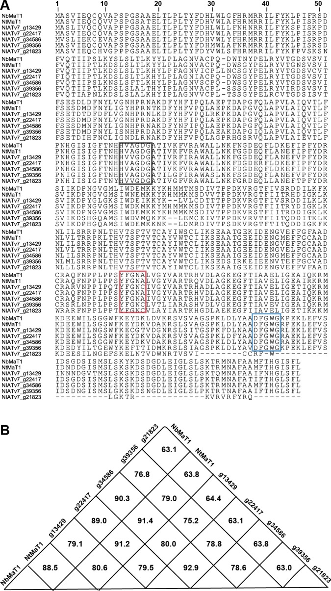 Figure 2—figure supplement 1.