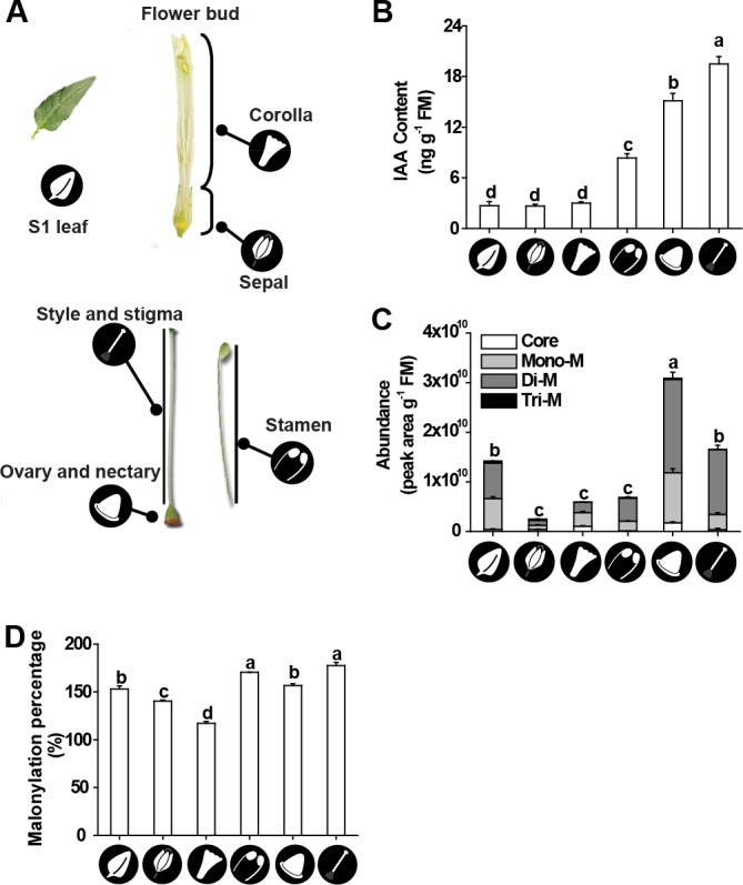 Figure 4—figure supplement 2.