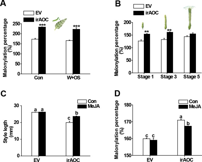 Figure 6—figure supplement 1.