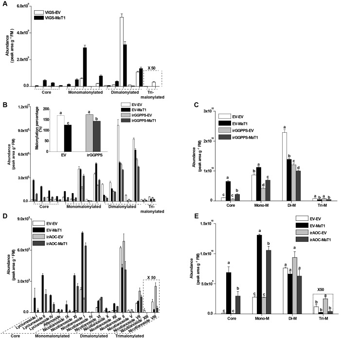 Figure 4—figure supplement 1.