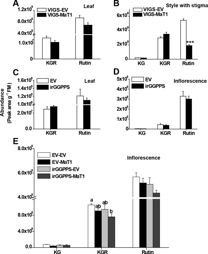 Figure 5—figure supplement 1.