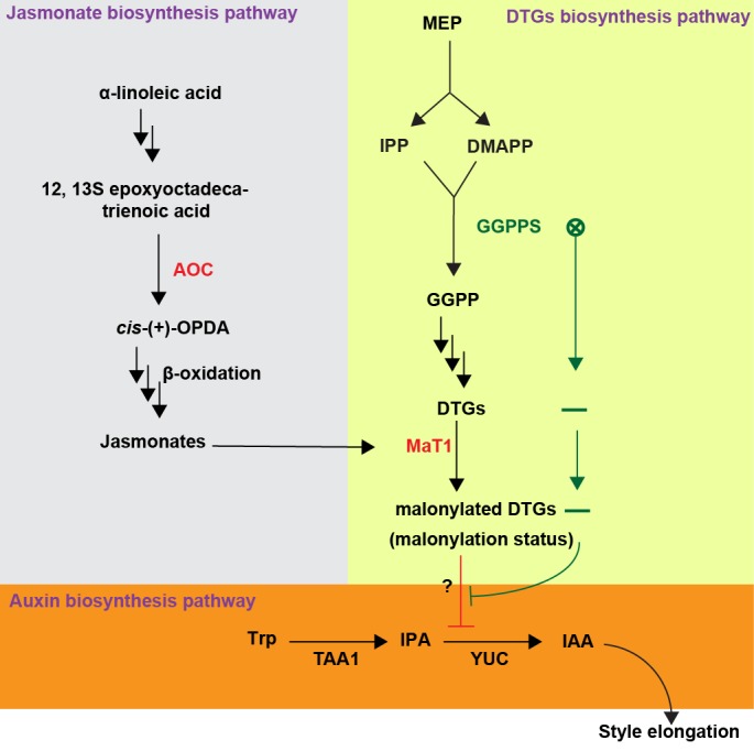 Figure 7.