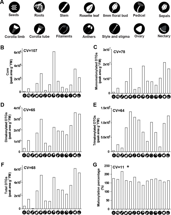 Figure 1—figure supplement 2.