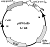 FIG. 1.