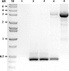 FIG. 4.