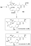 Figure 31