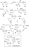 Figure 18