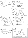 Figure 25