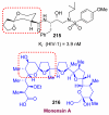 Figure 46