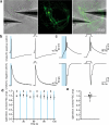 Extended Data Fig. 3