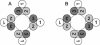 FIG. 6.