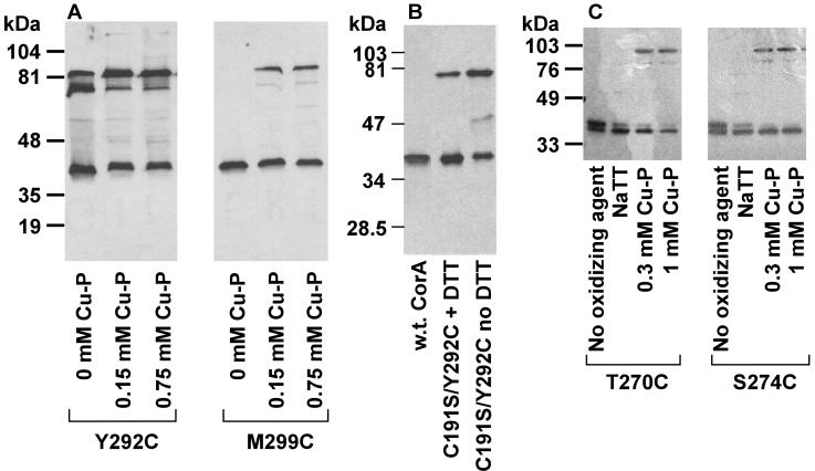 FIG. 5.