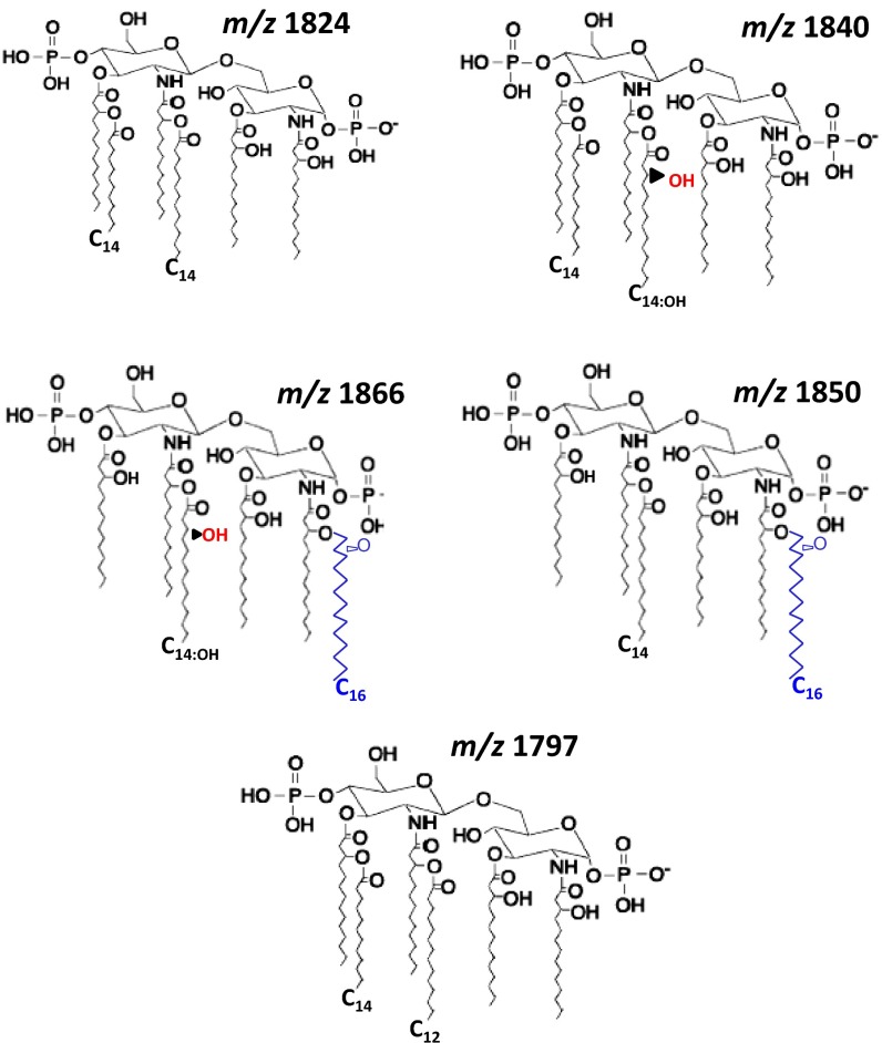 Fig. 2.