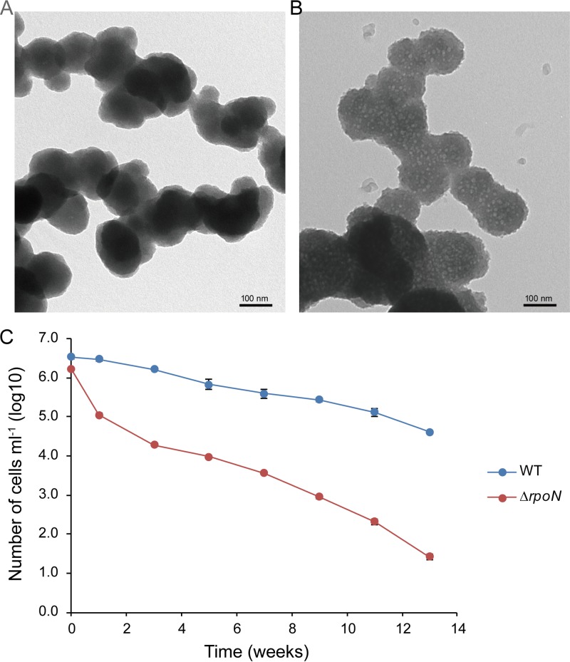 FIG 6