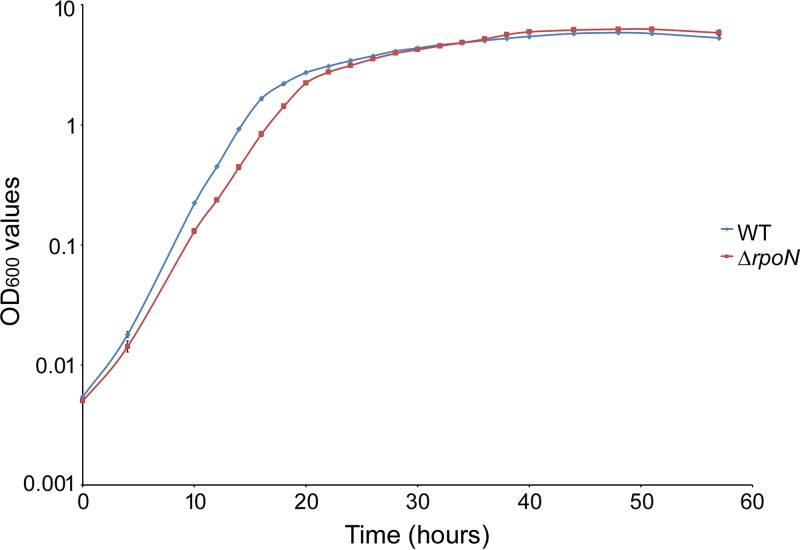 FIG 2