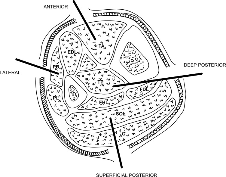 Fig. (3)