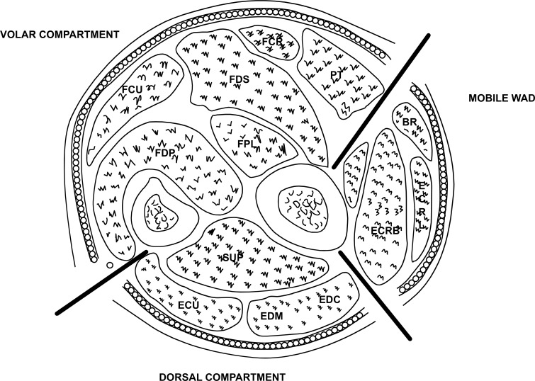 Fig. (6)