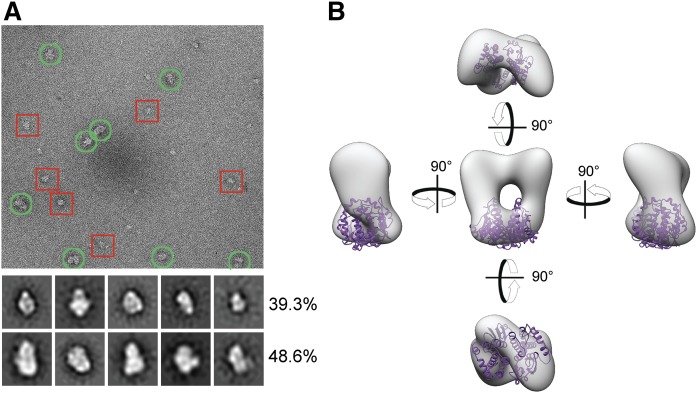 Fig. 7.