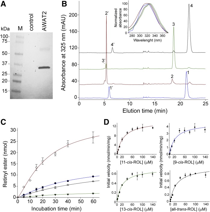 Fig. 1.