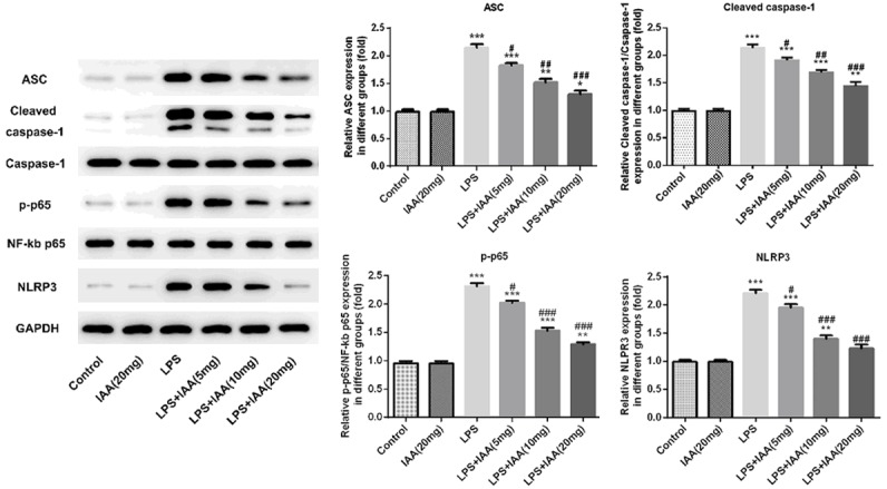 Figure 6