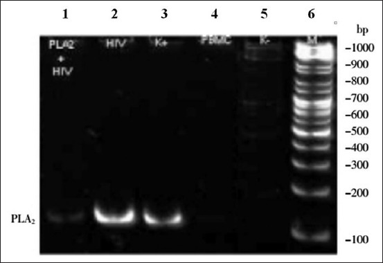 Figure-3