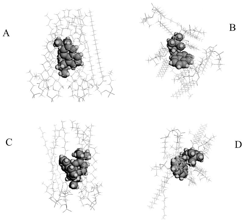 FIG. 5