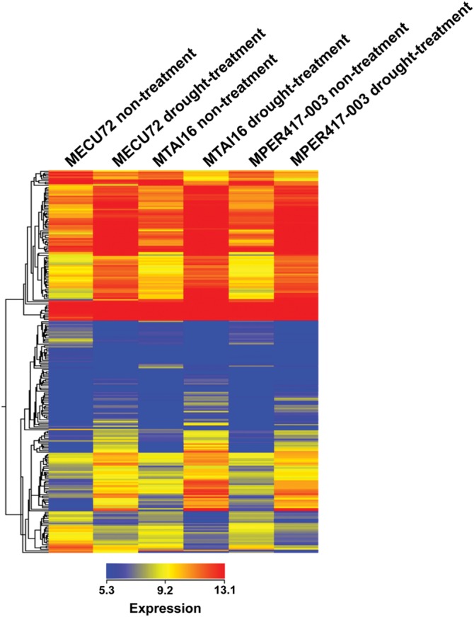 Figure 6.