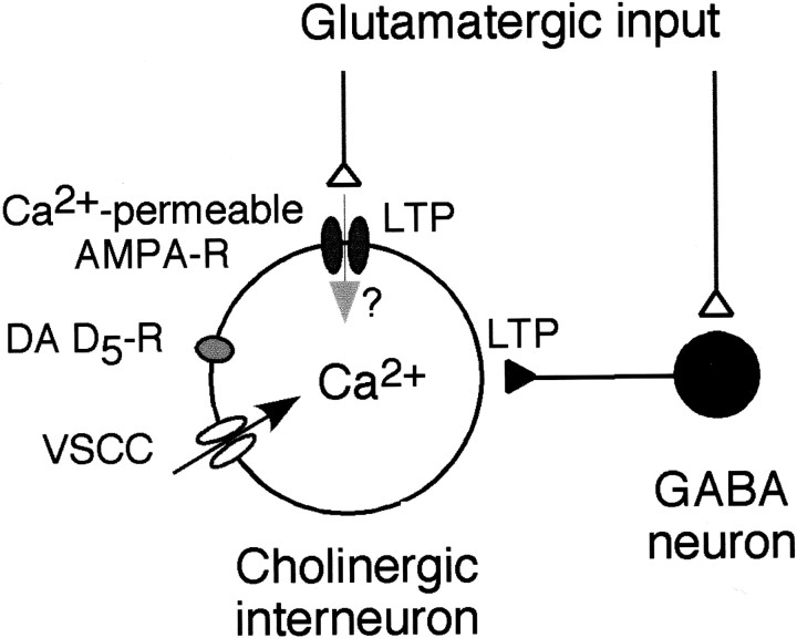 Fig. 9.