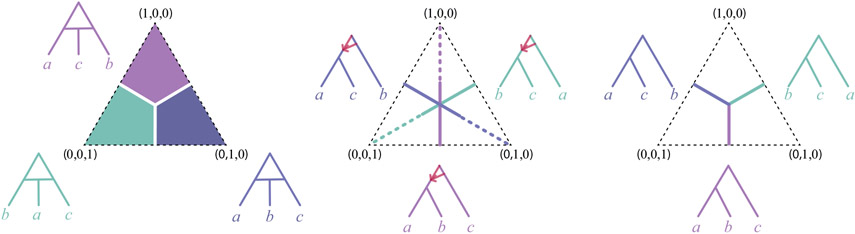 Fig. 13