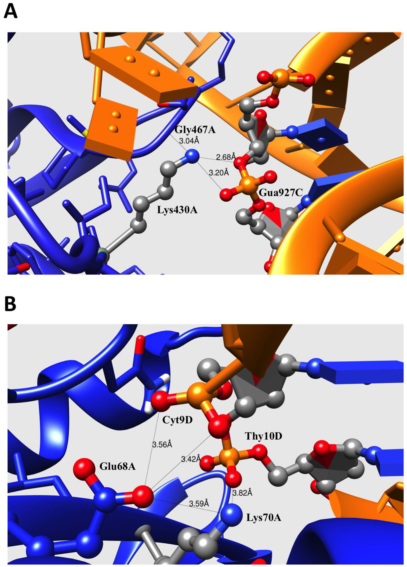 Figure 5: