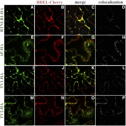 Figure 10.