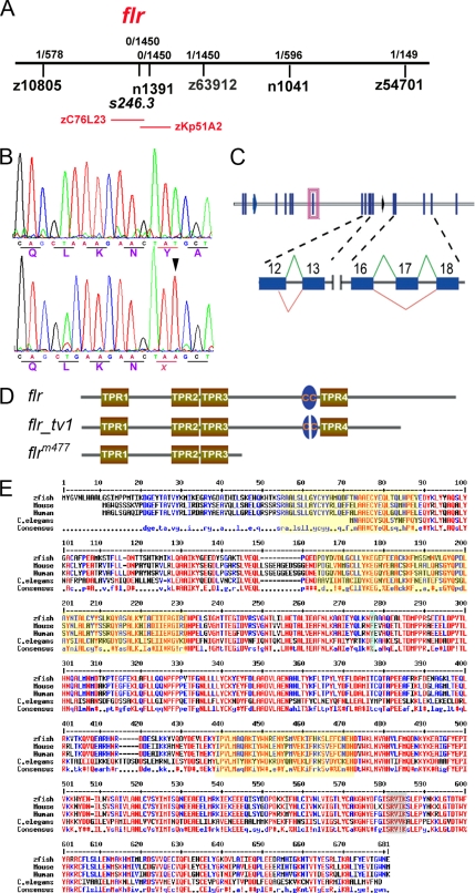 Figure 2.