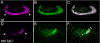 Figure 10.