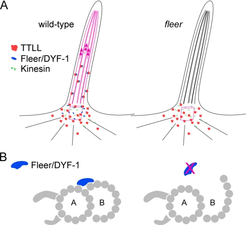 Figure 11.