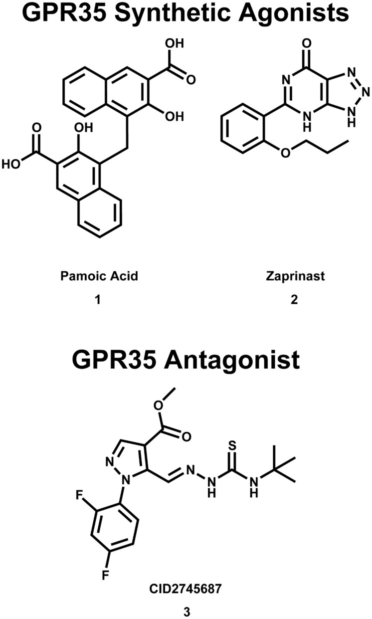 FIGURE 2