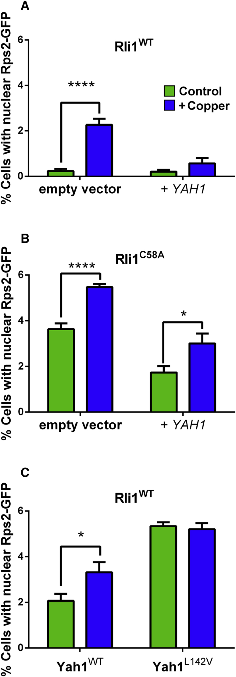 Figure 6