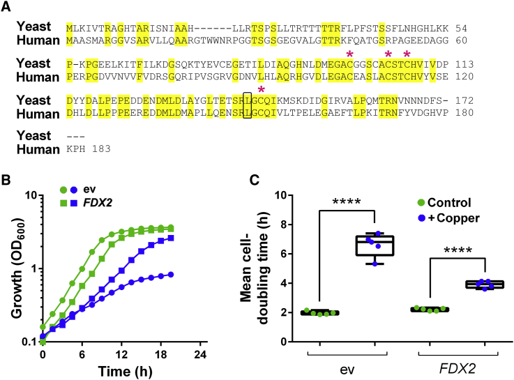 Figure 7