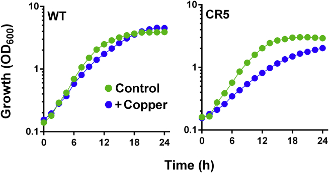 Figure 3