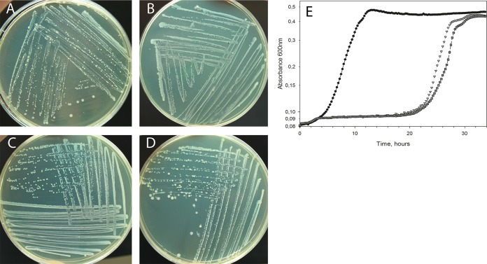 FIG 1