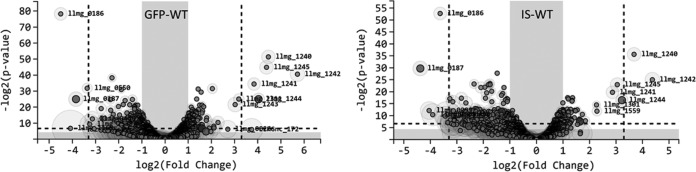 FIG 3