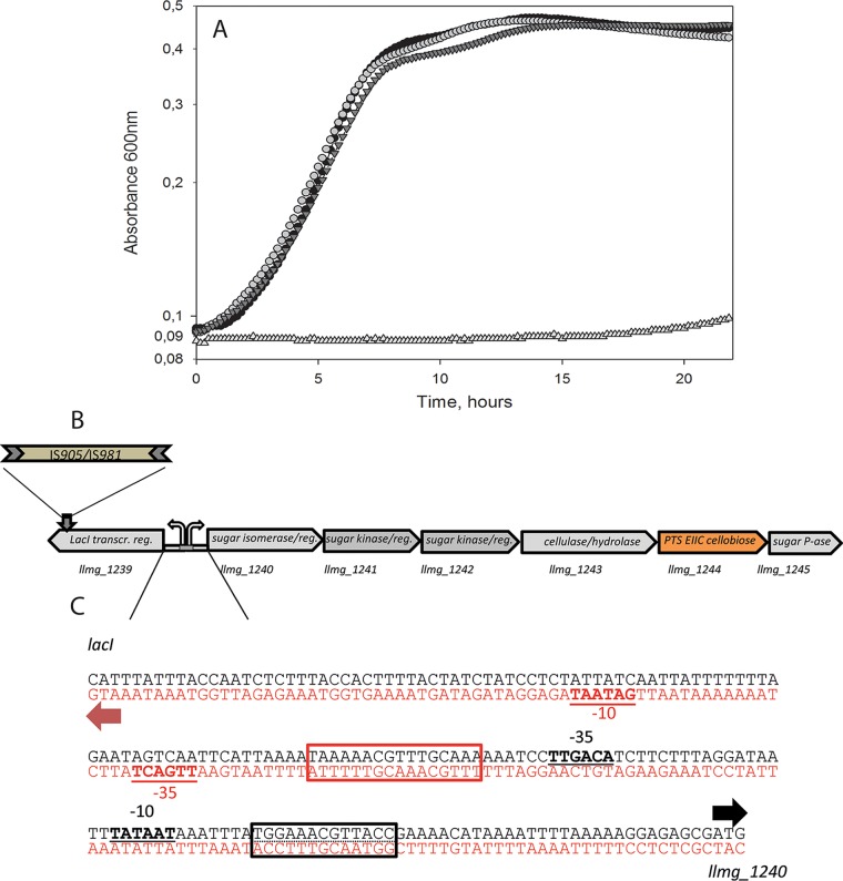 FIG 2