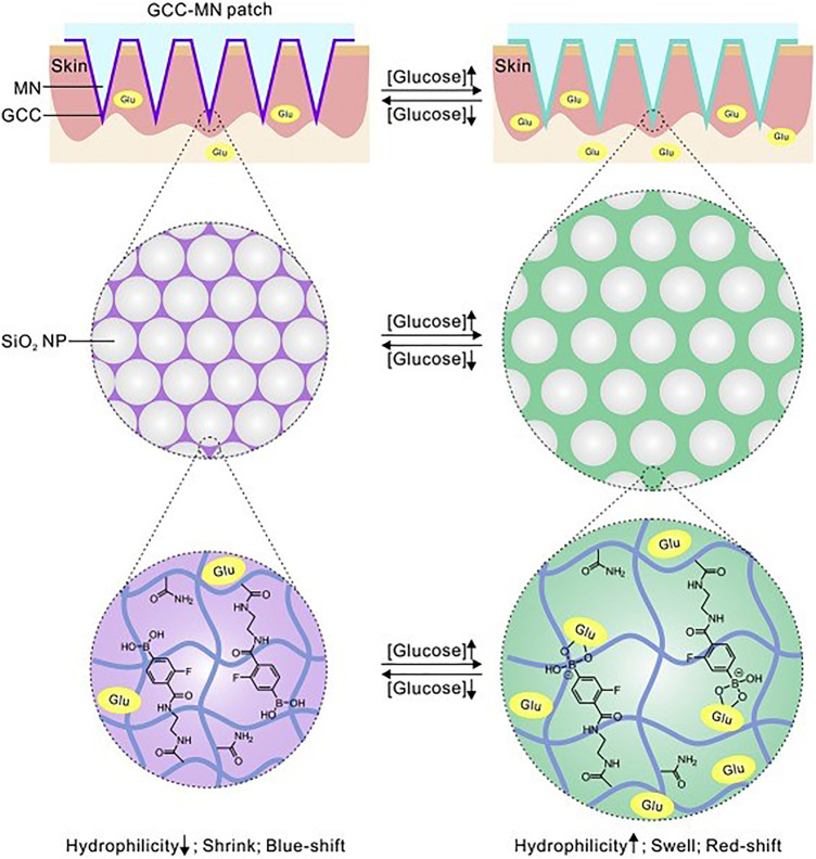 FIGURE 6