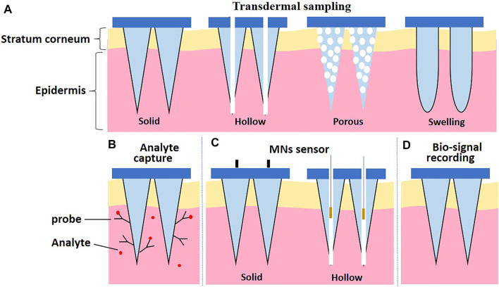 FIGURE 1