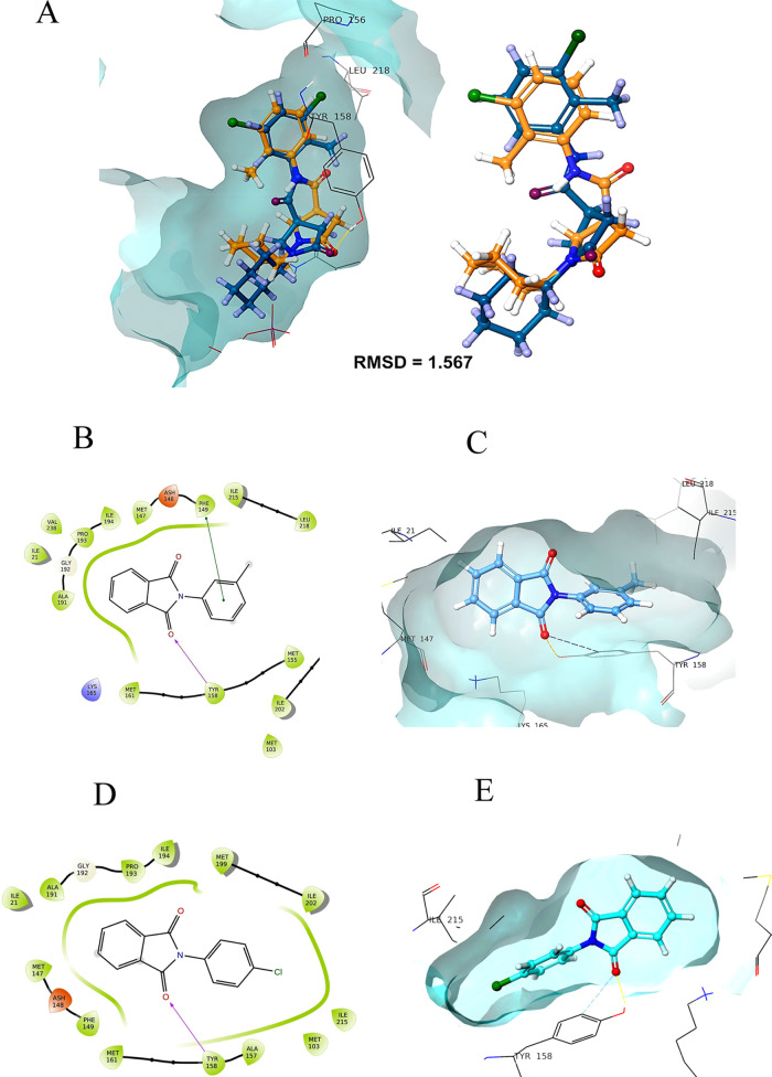 Figure 9