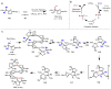 Scheme 6