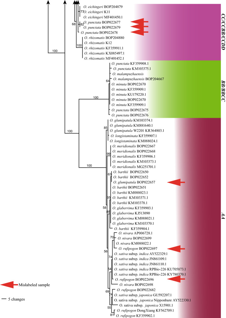 Fig. 3