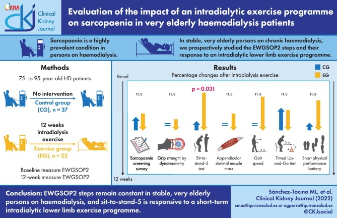 Graphical Abstract