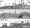 FIG. 6.